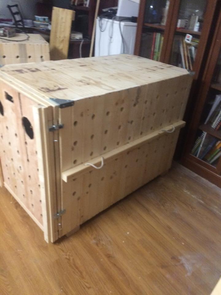 Reinforced Kennel Hawaii Happy Trails Airline Kennels