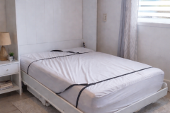 b099382e-817b-497d-a011-e632e2009c5d